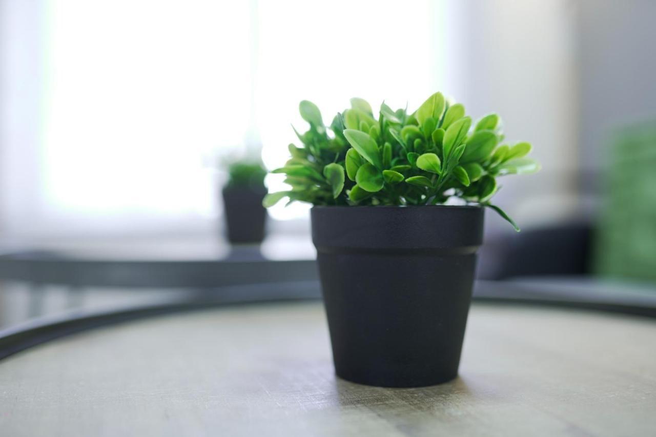 Apartament יחידת נופש עמית Ejlat Zewnętrze zdjęcie